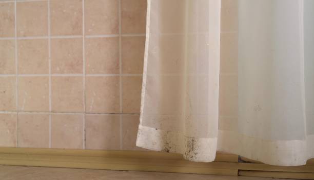 Best Commercial Mold Inspection  in Gary, IN
