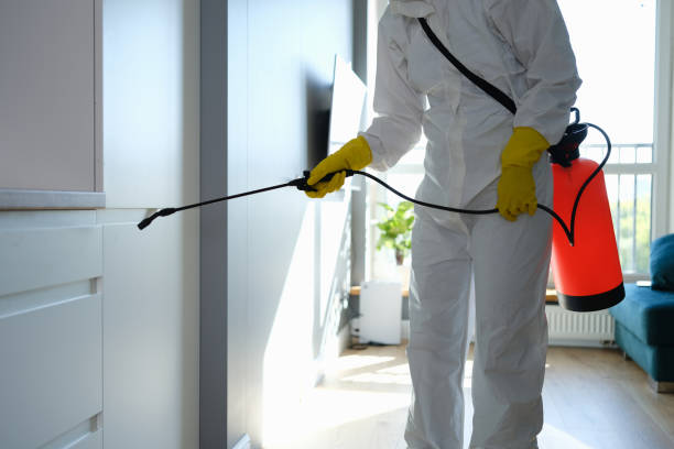 Best Biohazard Mold Removal  in Gary, IN