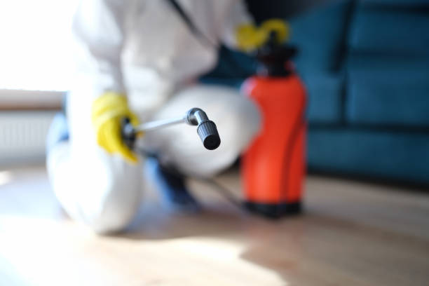 Best Post-Construction Mold Inspection  in Gary, IN