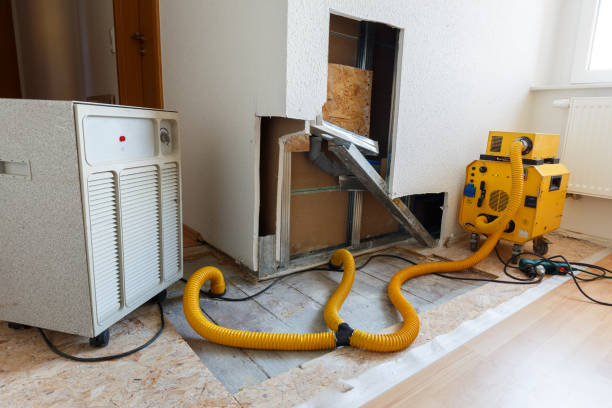 Best Crawl Space Mold Remediation  in Gary, IN
