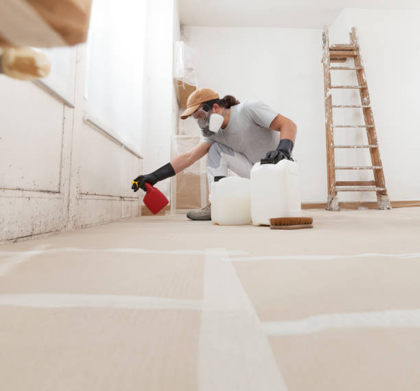Gary, IN Mold Removal Company
